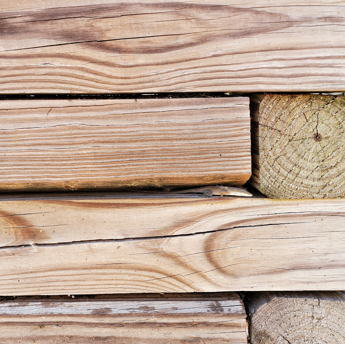 a close up of a wood surface